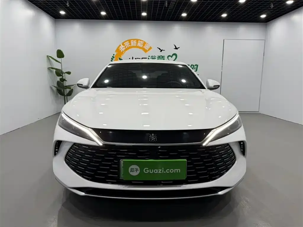 BYD Qin L — фото 3