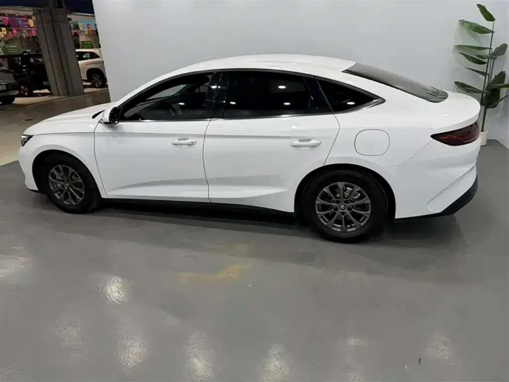 BYD Qin L — фото 4