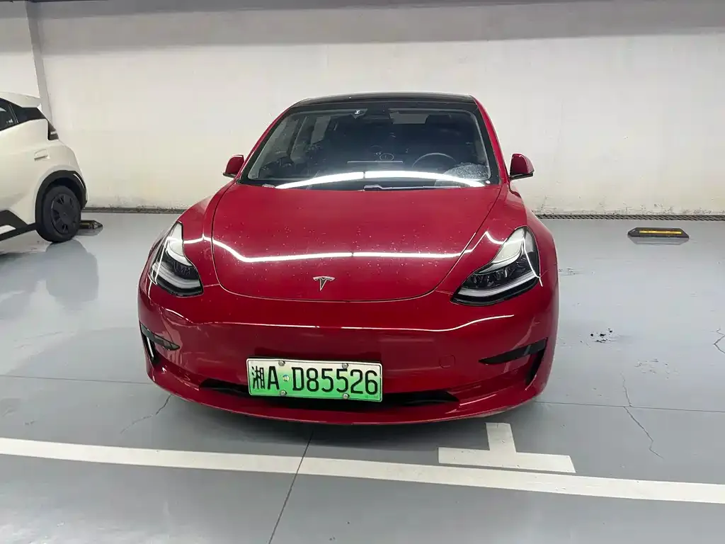 Tesla Model 3 2021 из CN, фото 2