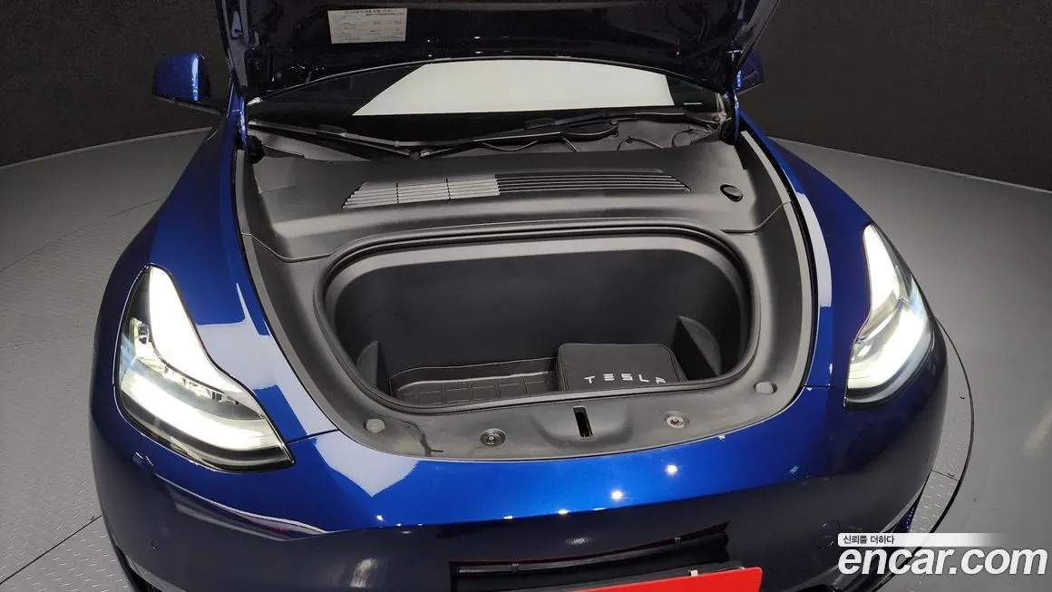 Tesla Model Y 2021 из KR, фото 6