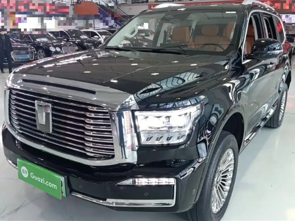 Tank 500 New Energy 2024 из CN, фото 1