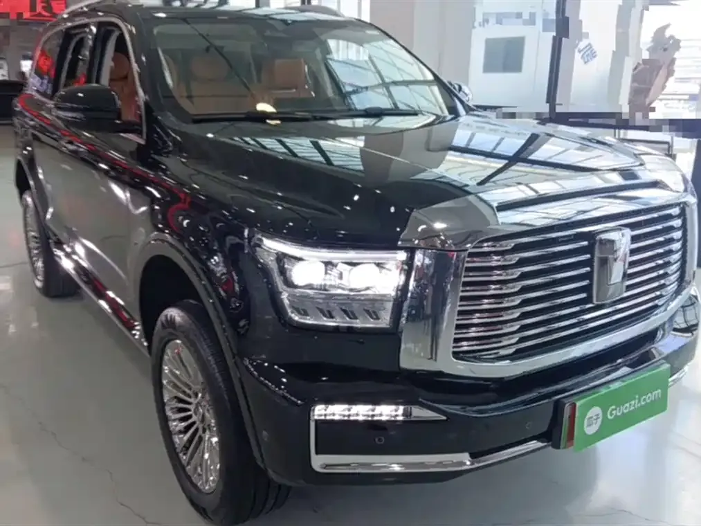 Tank 500 New Energy 2024 из CN, фото 8