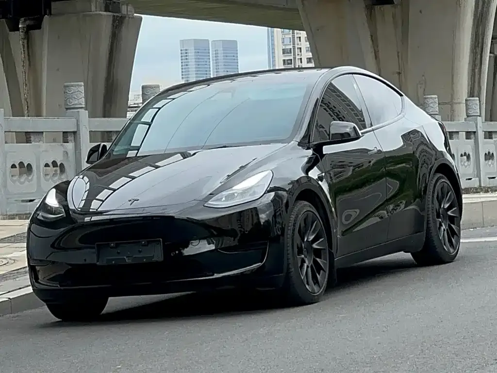 Tesla Model Y — фото 1