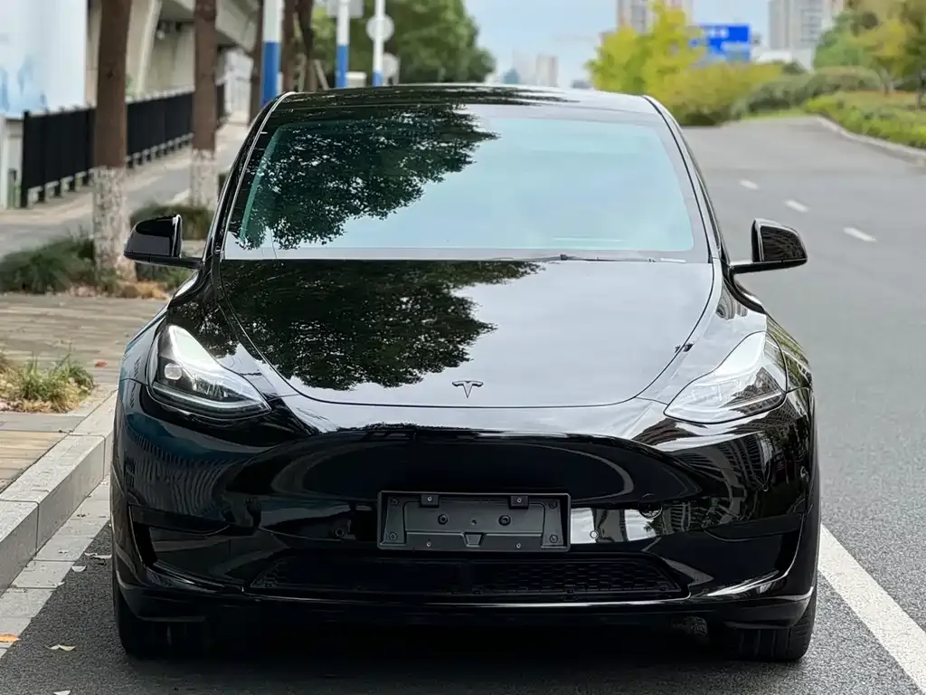 Tesla Model Y — фото 2