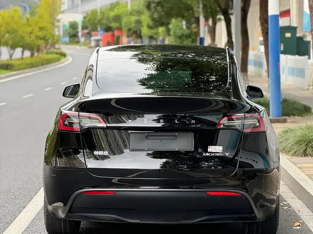 Tesla Model Y — фото 3