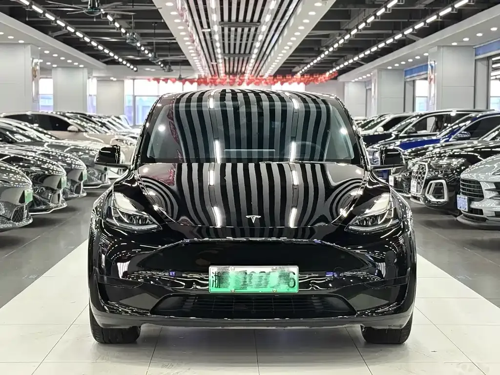 Tesla Model Y 2022 из CN, фото 2
