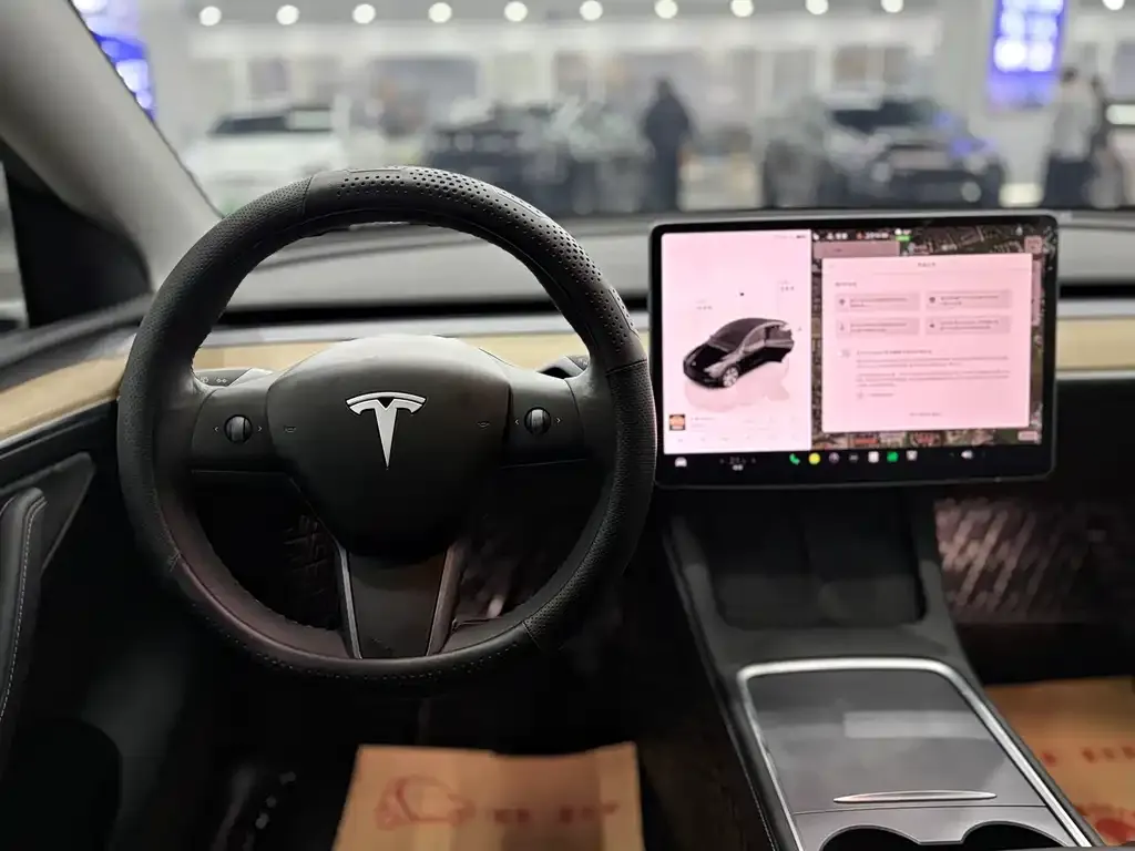 Tesla Model Y 2022 из CN, фото 7