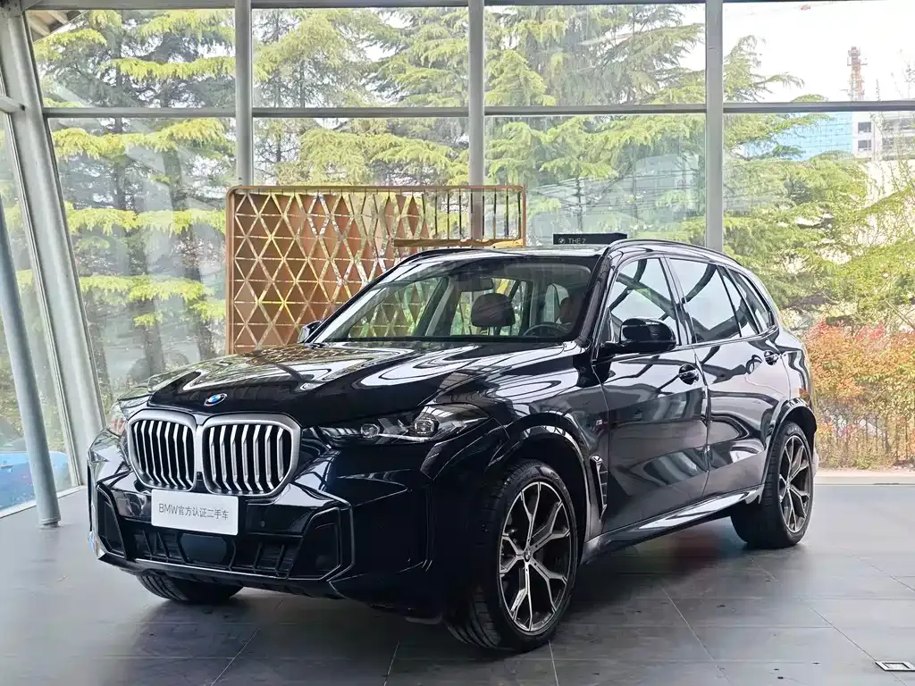 BMW X5 — фото 1