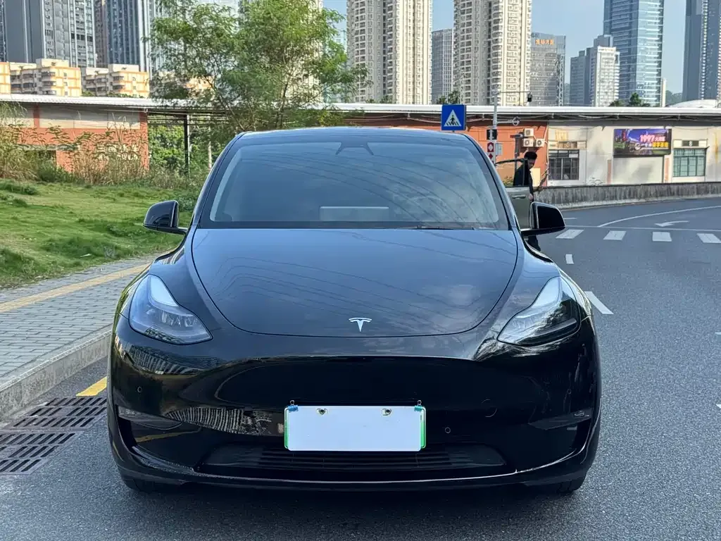 Tesla Model Y — фото 1