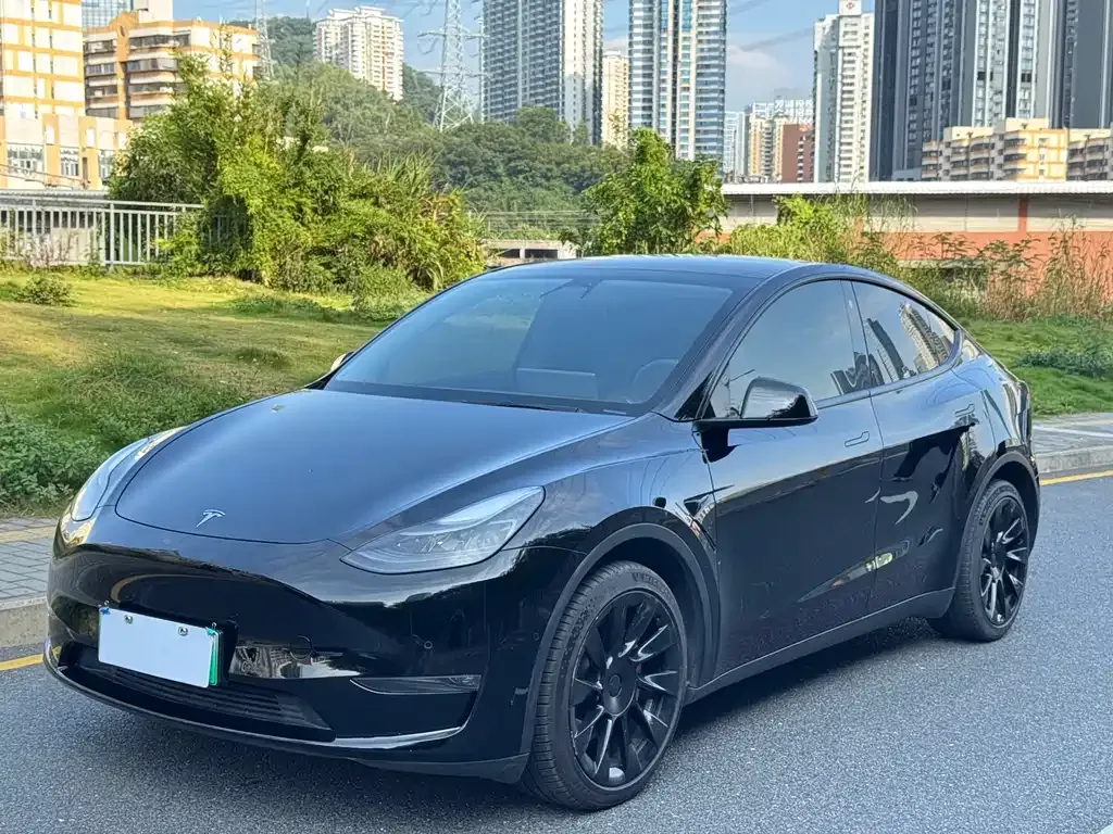 Tesla Model Y — фото 2