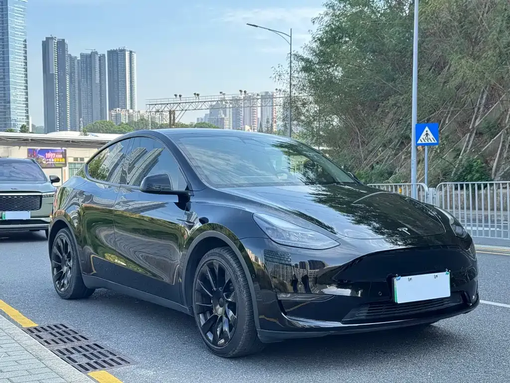 Tesla Model Y — фото 3