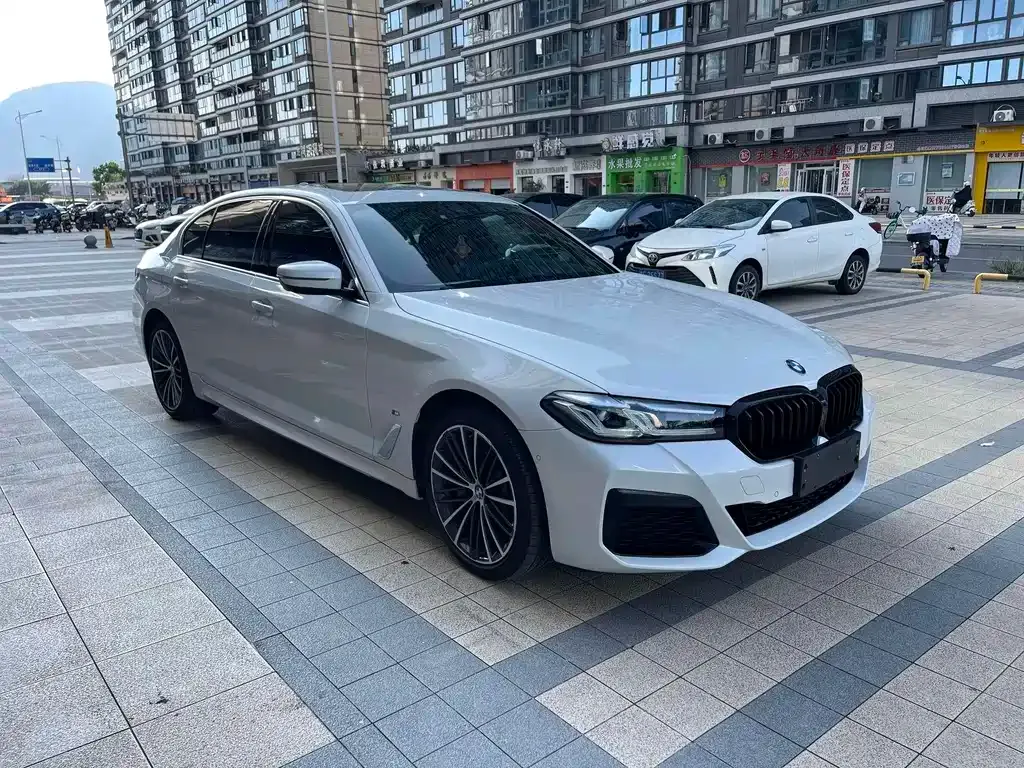 BMW 5 Series 2021 из CN, фото 1