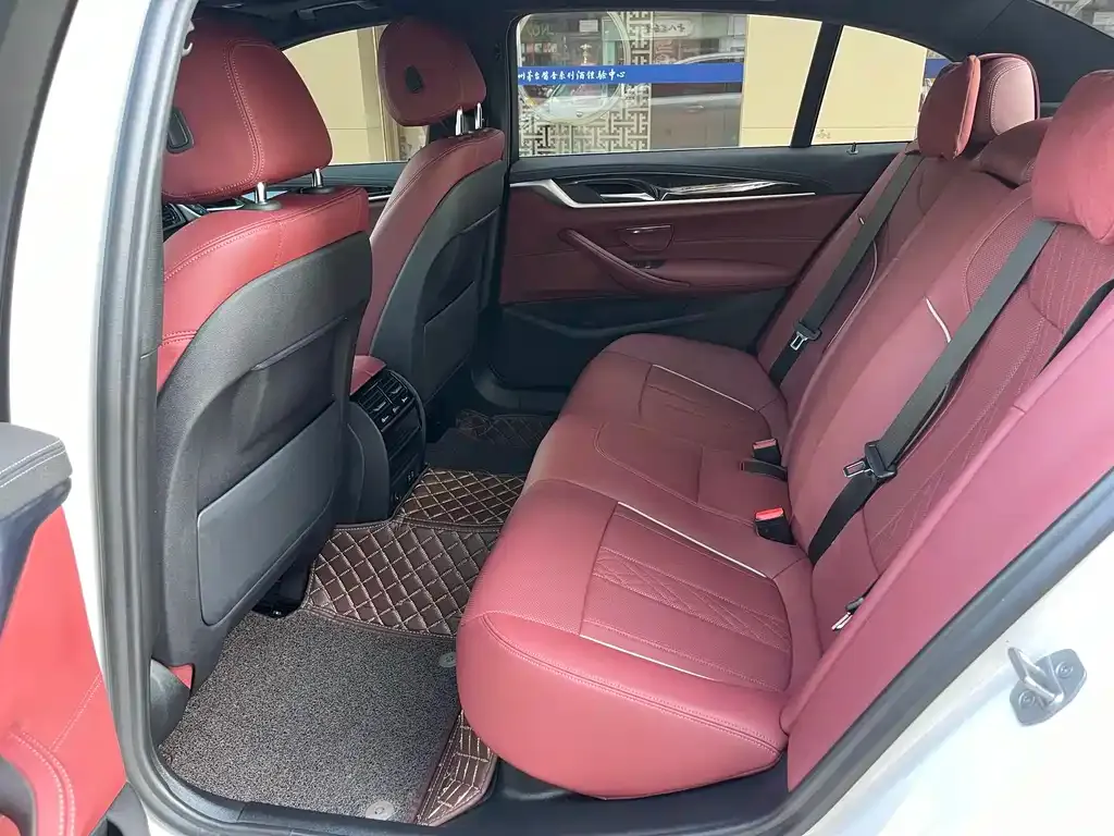 BMW 5 Series 2021 из CN, фото 6