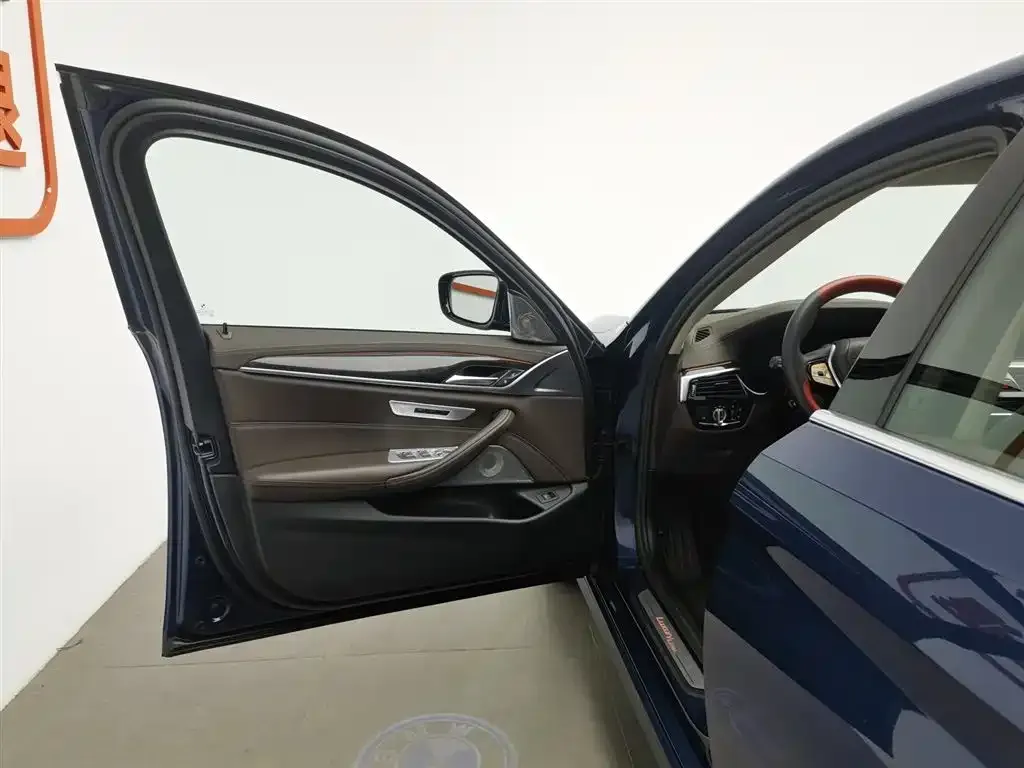 BMW 5 Series 2023 из CN, фото 8