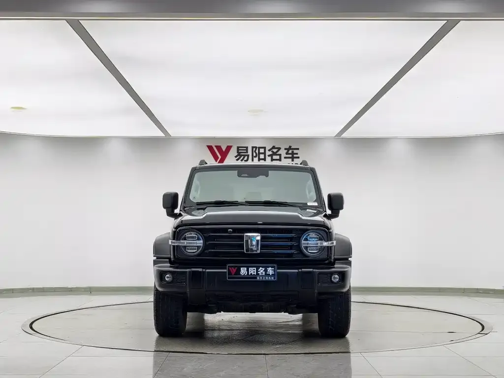 [object Object] Tank 300 2021 из CN, фото 2