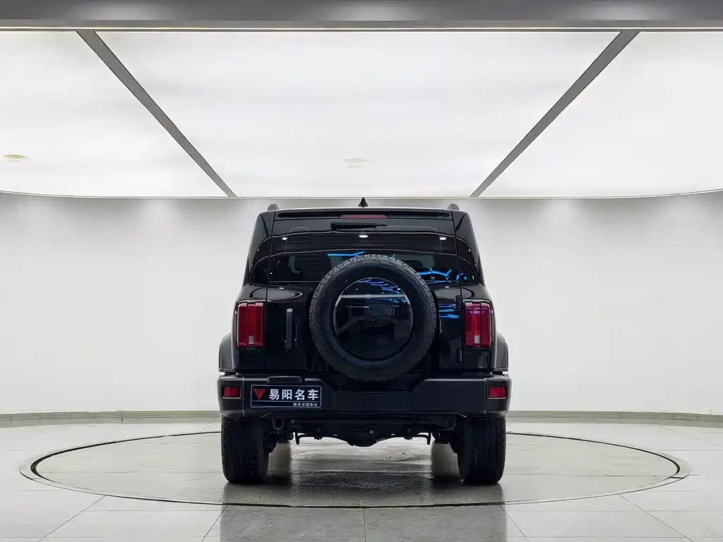 [object Object] Tank 300 2021 из CN, фото 8