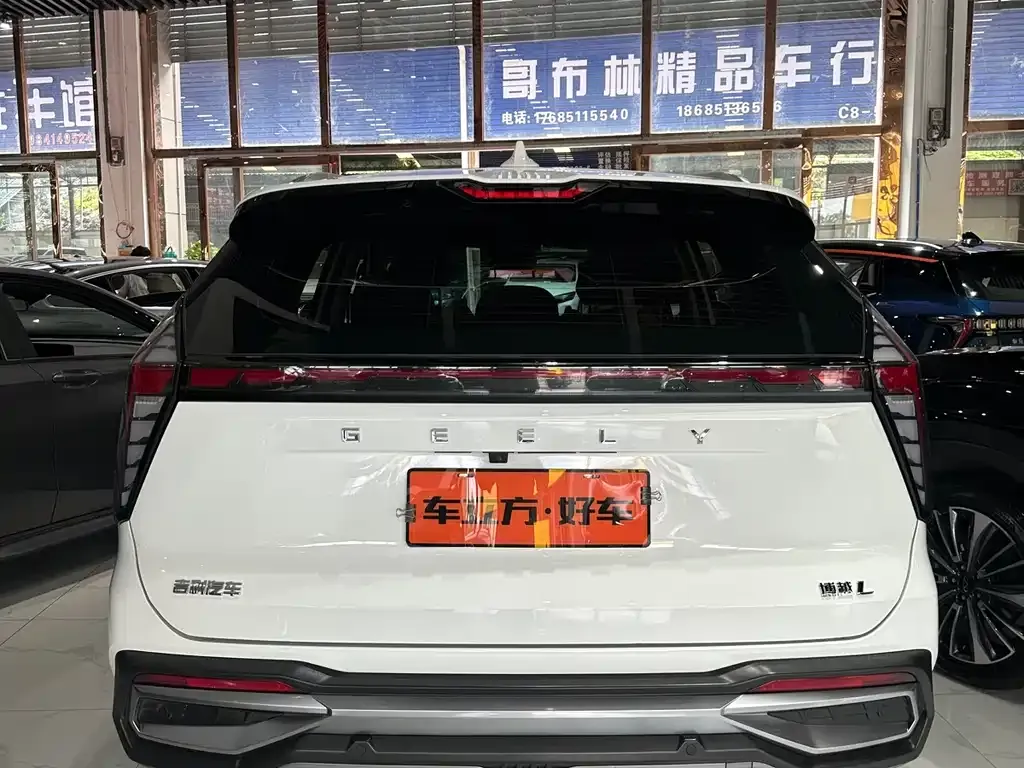 [object Object] Boyue L 2023 из CN, фото 5