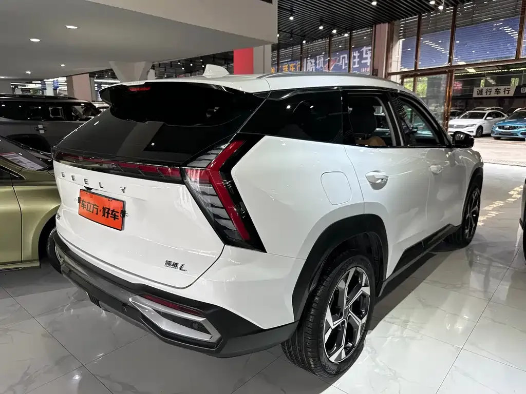 [object Object] Boyue L 2023 из CN, фото 6