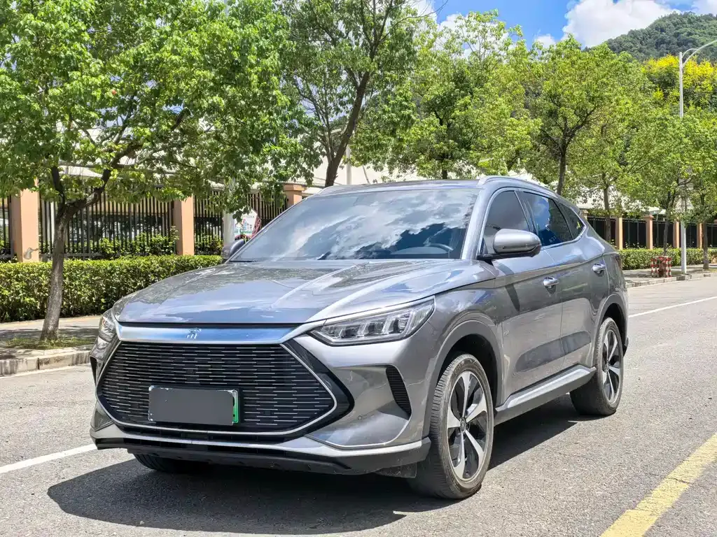 BYD PLUS New Energy — фото 1