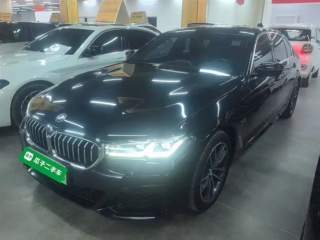 BMW 5 Series New Energy 2023 из CN, фото 1