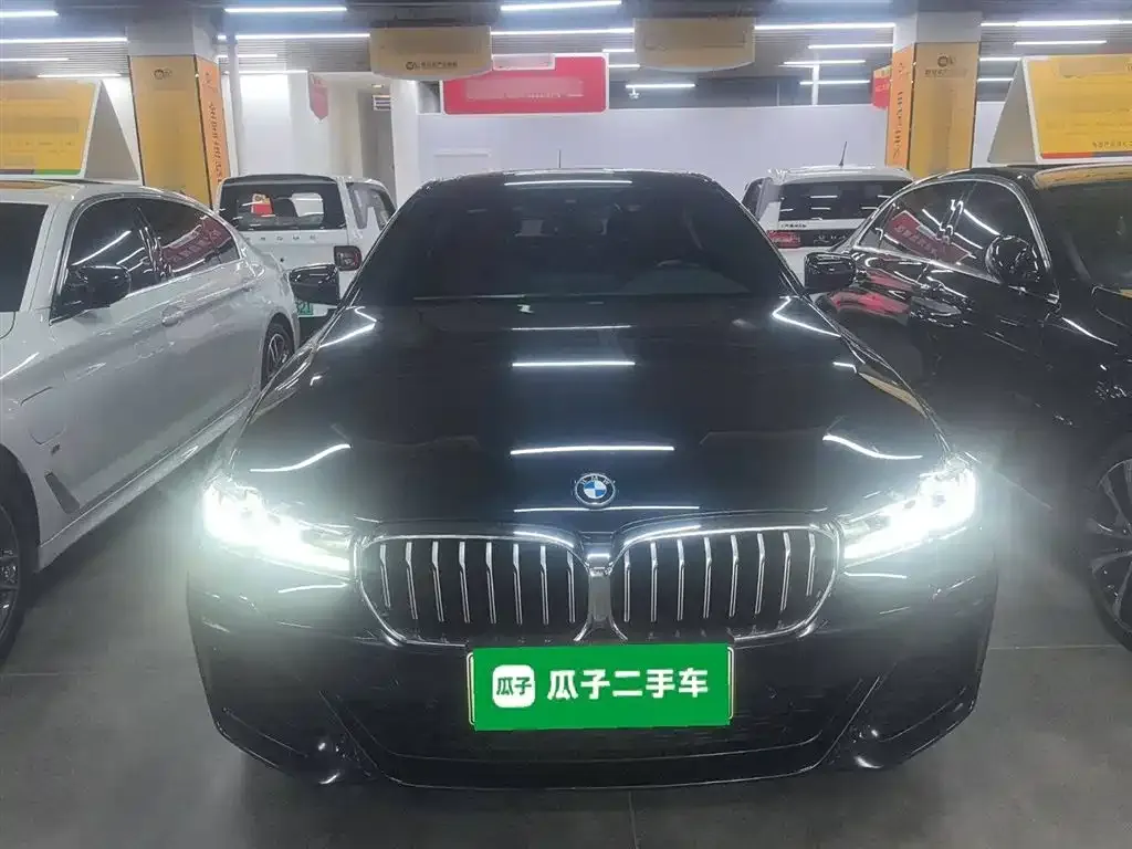 BMW 5 Series New Energy 2023 из CN, фото 3