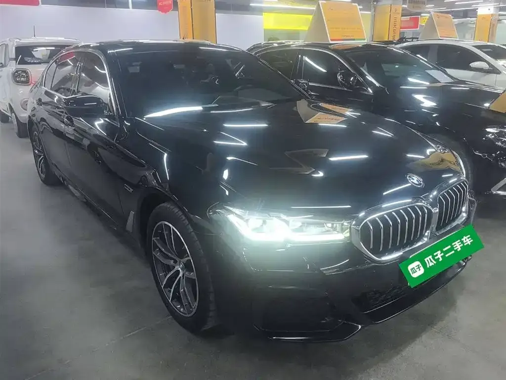 BMW 5 Series New Energy 2023 из CN, фото 4