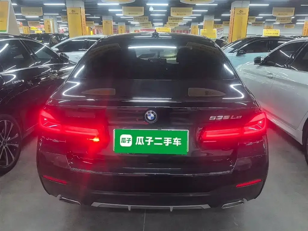 BMW 5 Series New Energy 2023 из CN, фото 6