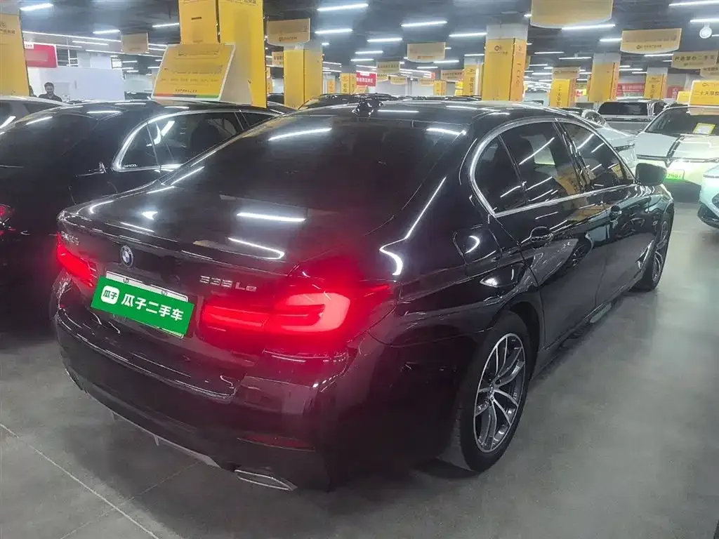 BMW 5 Series New Energy 2023 из CN, фото 7
