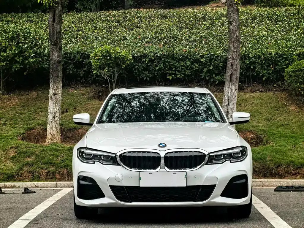 BMW 3 Series 2022 из CN, фото 2