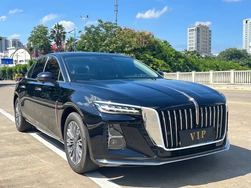 Hongqi H5 2023 из CN, фото 2
