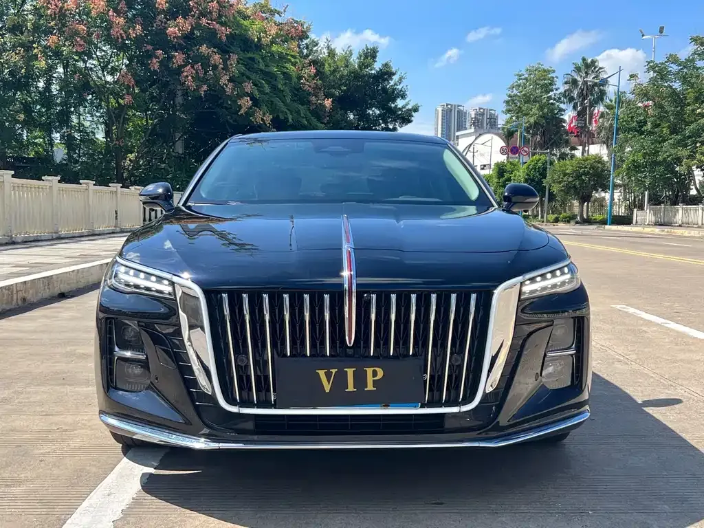 Hongqi H5 2023 из CN, фото 3