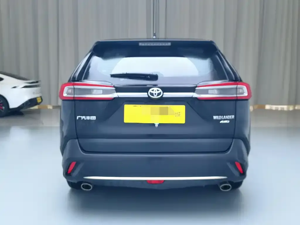 Toyota Wildlander 2021 из CN, фото 5