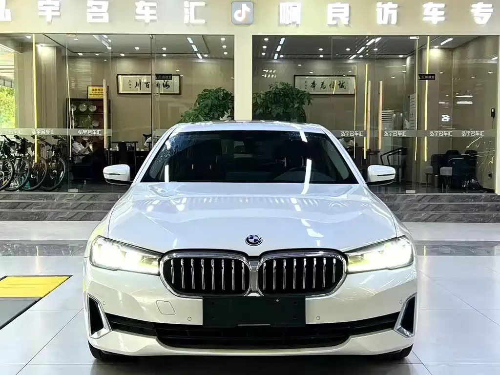BMW 5 Series New Energy 2021 из CN, фото 1