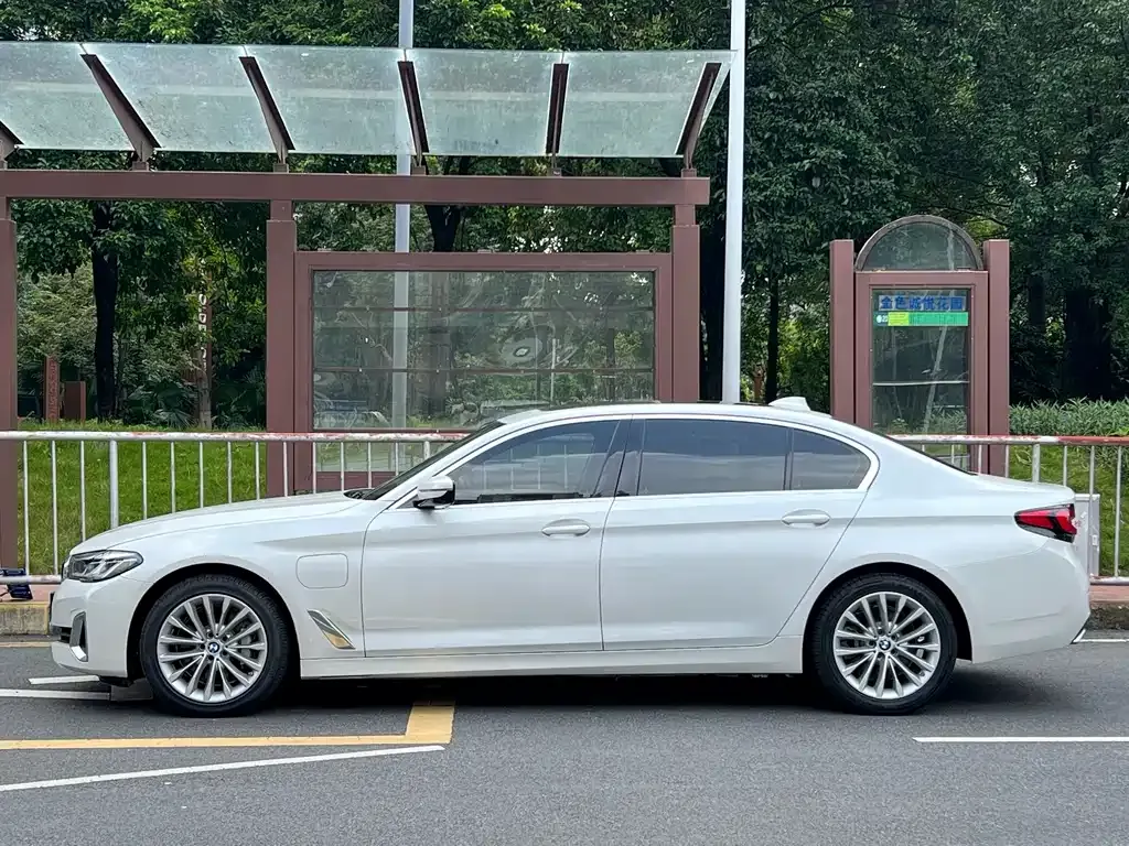 BMW 5 Series New Energy 2021 из CN, фото 2