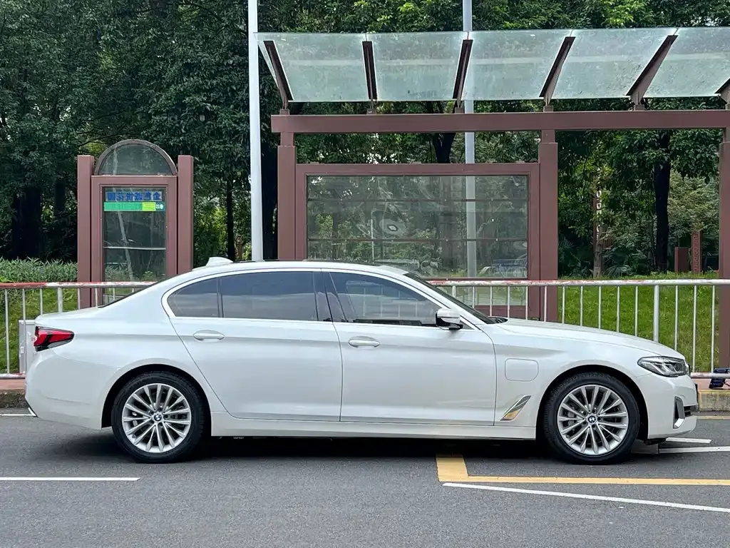 BMW 5 Series New Energy 2021 из CN, фото 4