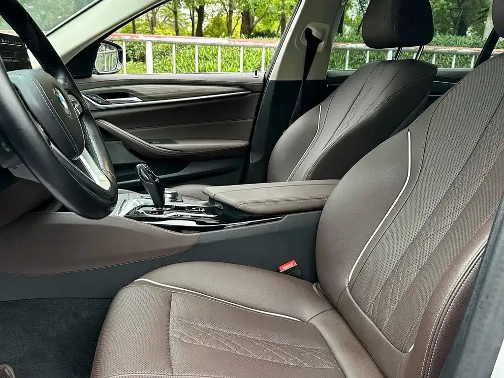 BMW 5 Series New Energy 2021 из CN, фото 8
