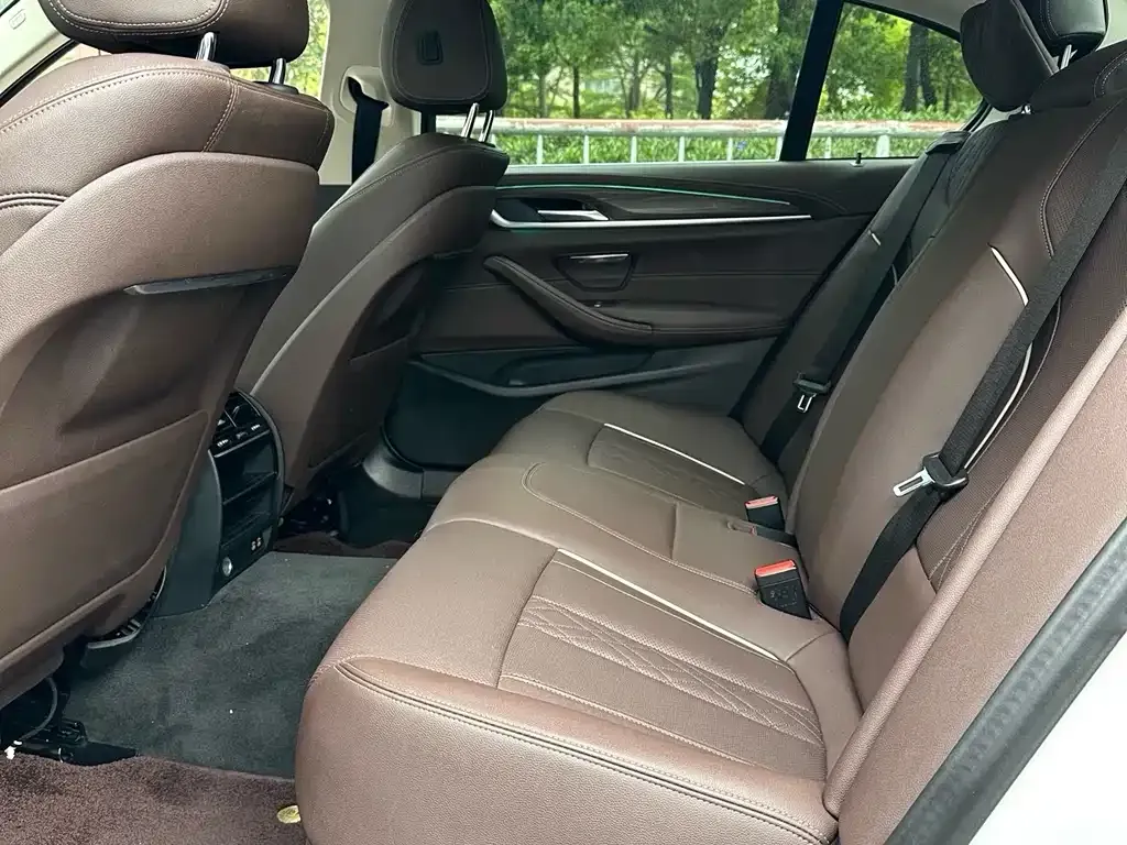 BMW 5 Series New Energy 2021 из CN, фото 9