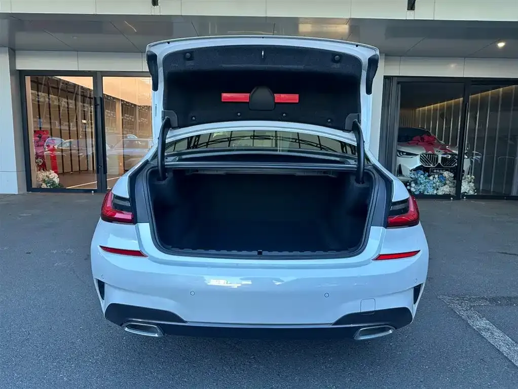 BMW 3 Series 2021 из CN, фото 6