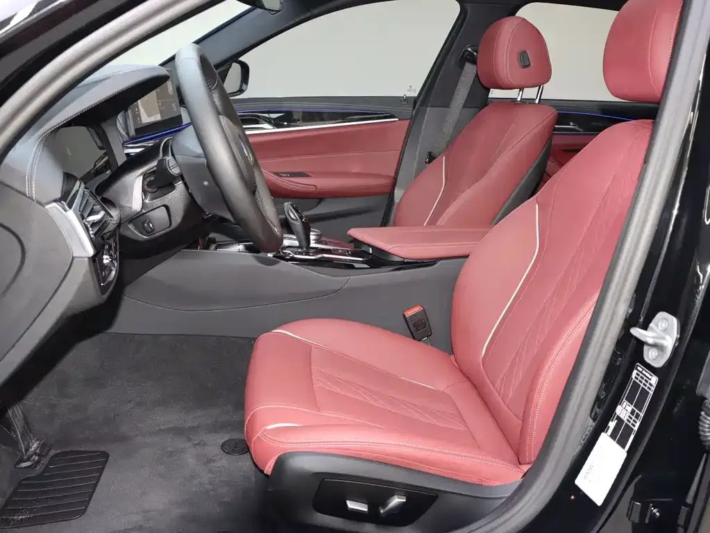 BMW 5 Series 2023 из CN, фото 5