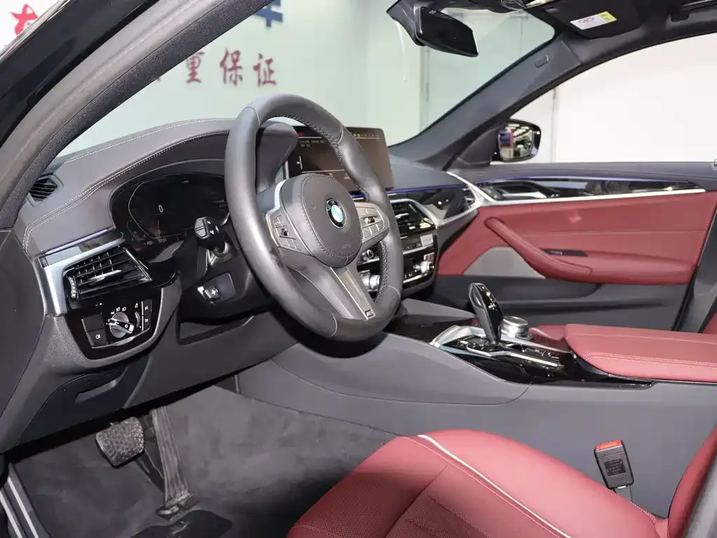BMW 5 Series 2023 из CN, фото 6