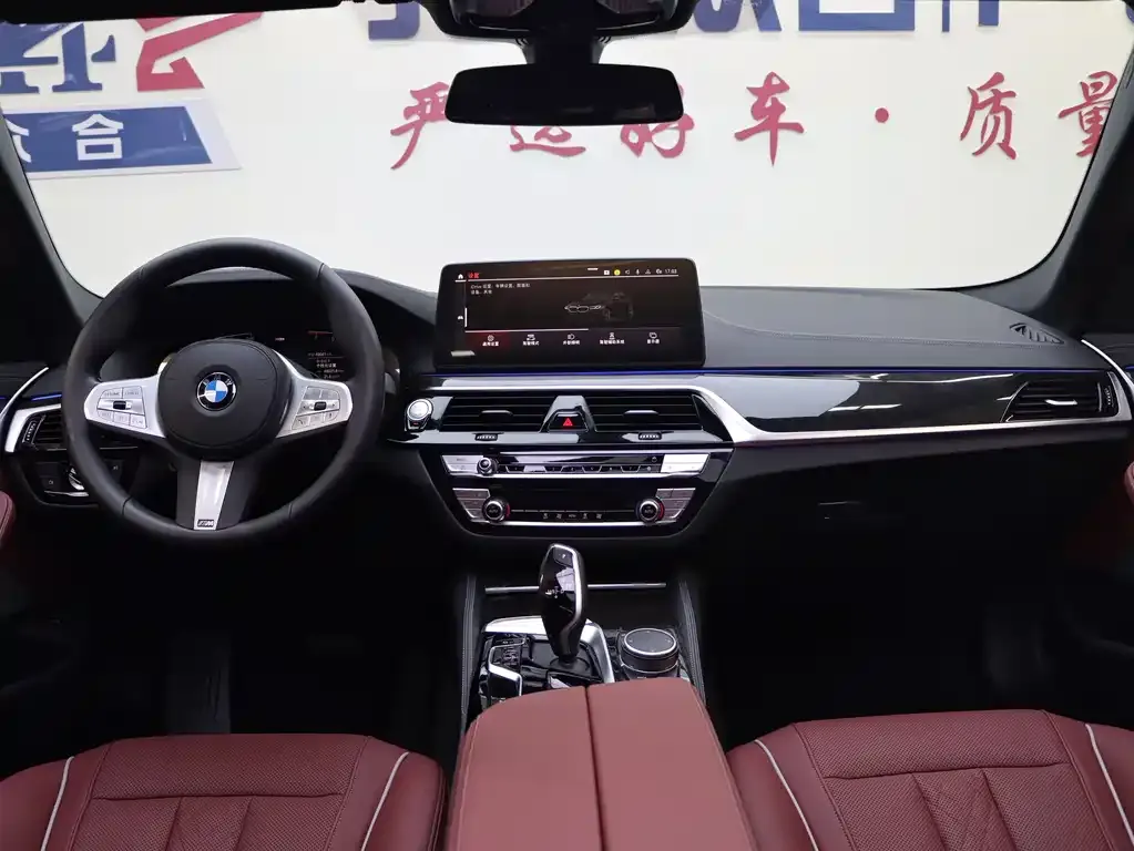 BMW 5 Series 2023 из CN, фото 7