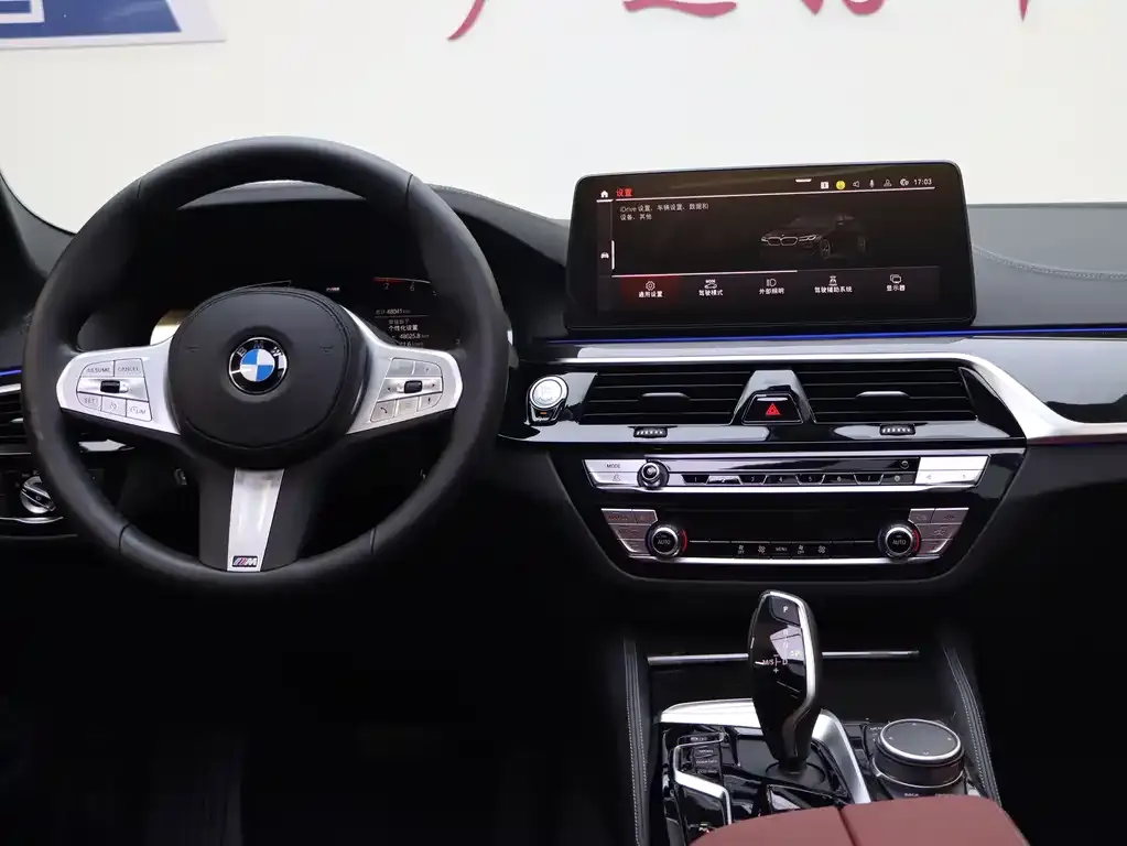 BMW 5 Series 2023 из CN, фото 8