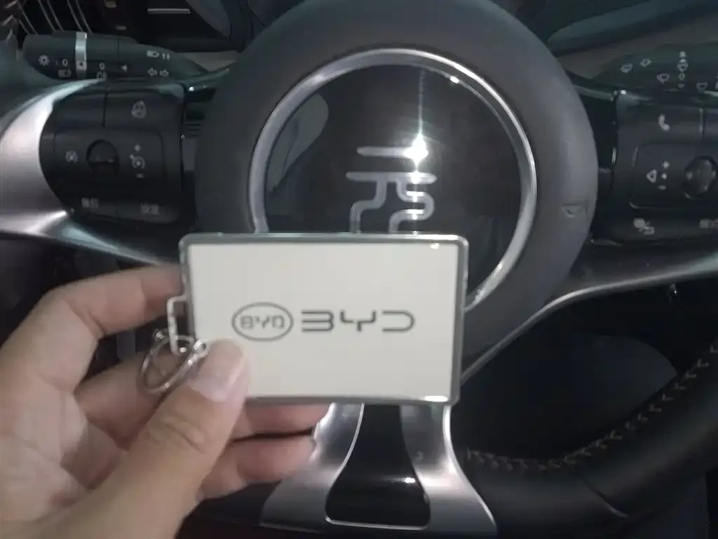 BYD Yuan Plus 2024 из CN, фото 9