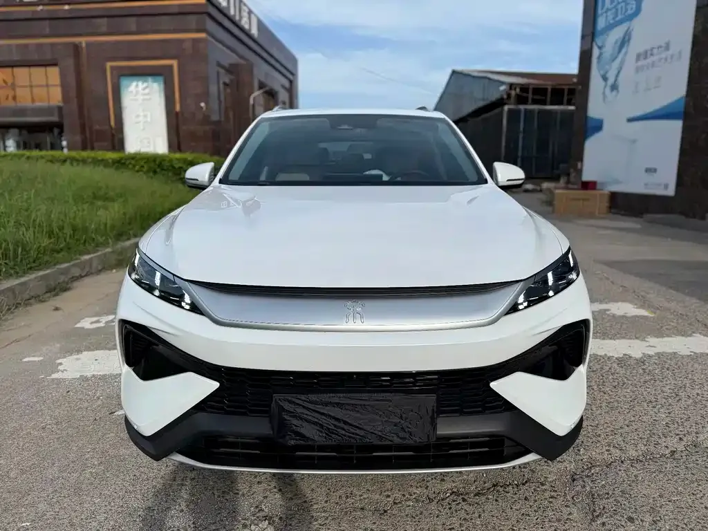 BYD Pro New Energy — фото 2