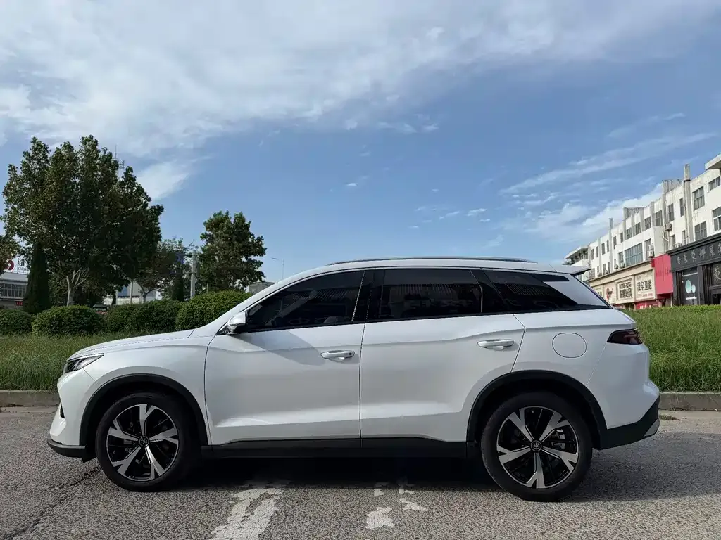 BYD Pro New Energy — фото 7