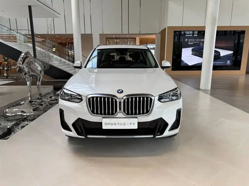 BMW X3 2024 из CN, фото 6