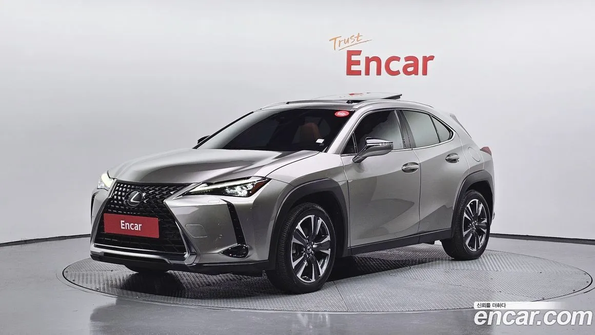 Lexus UX 2024 из KR, фото 1