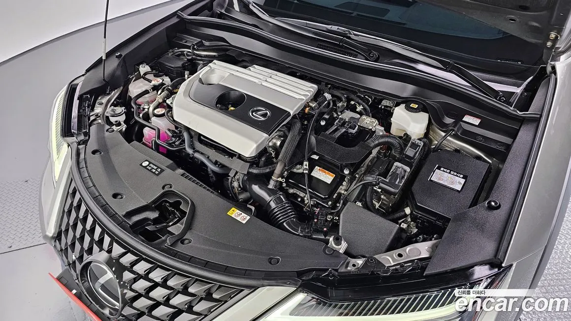Lexus UX 2024 из KR, фото 6