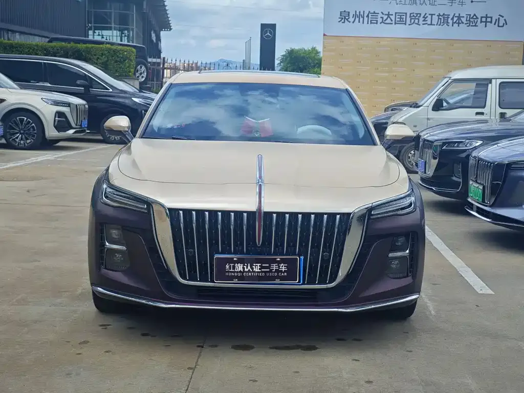 Hongqi H5 2023 из CN, фото 2