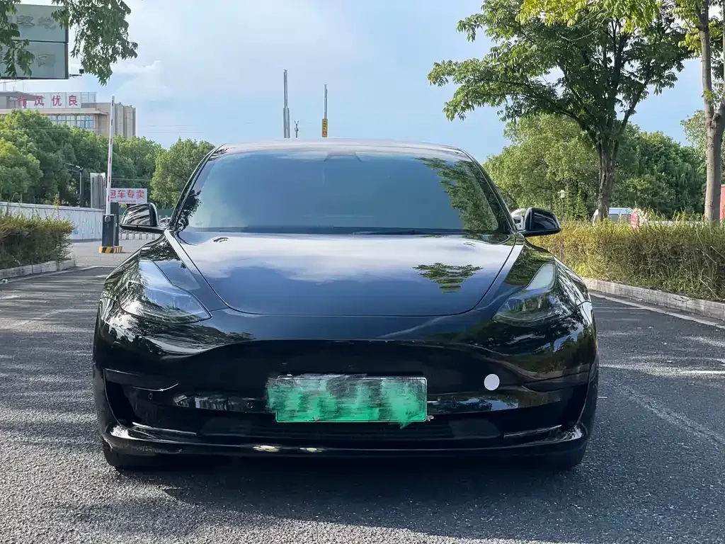 Tesla Model 3 2021 из CN, фото 1